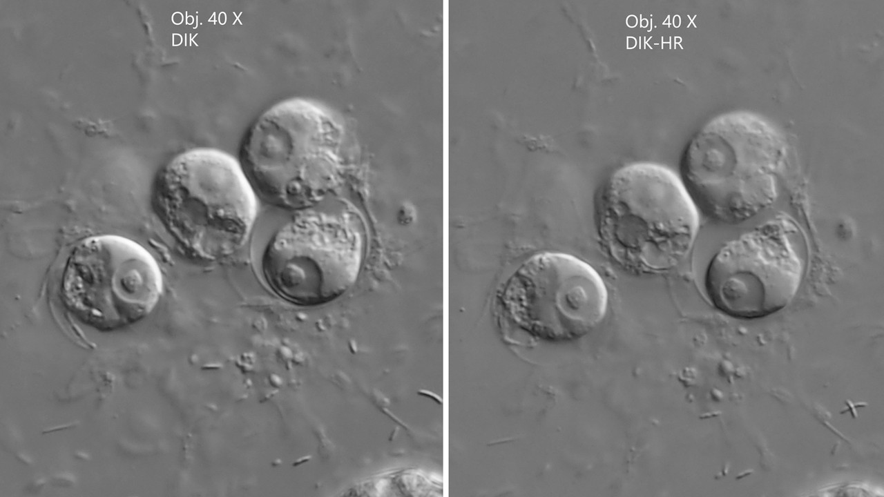 A0180-Vergleich DIK-DIK-HR-PC299993-95