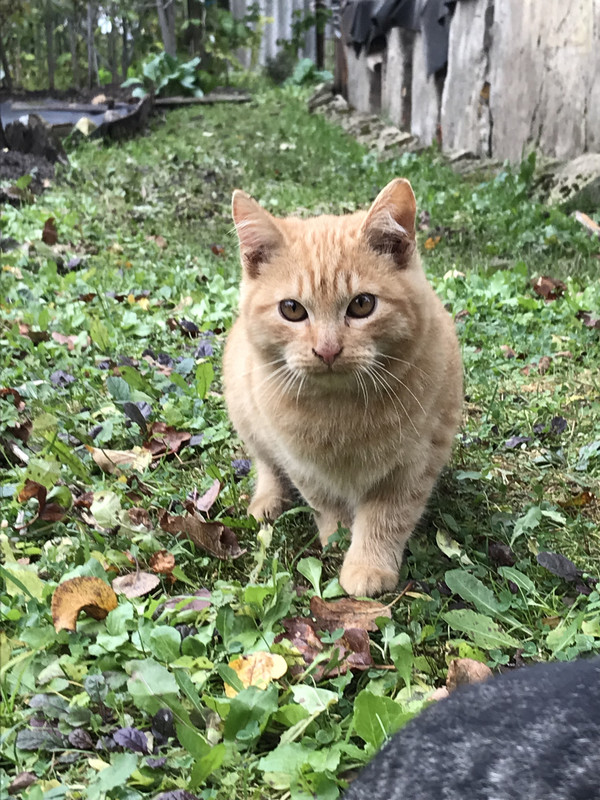 E7772BD5-6523-44A3-992E-114A5D0C54EF