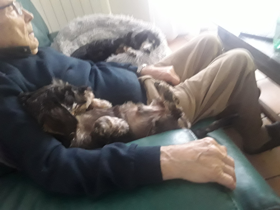 [Image: 20241102-123509.jpg]