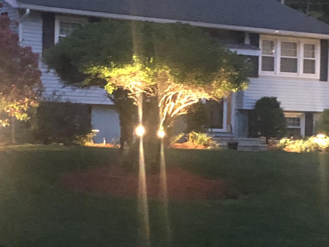 9814600A-DB9E-4F49-B3A9-2DF8B82929EA