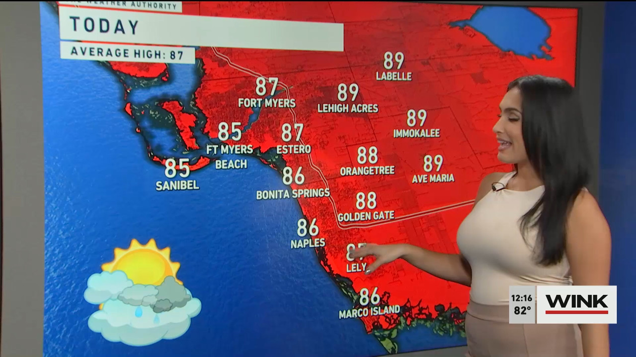 10.14 - 17.00.00 - The WINK Noon News  ᴺᵉʷ. Midday news update..ts_snapshot_22.31.919