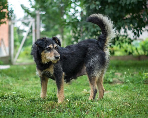 4F7E0867-79FC-40B9-8035-7D7ACC9DC1F3