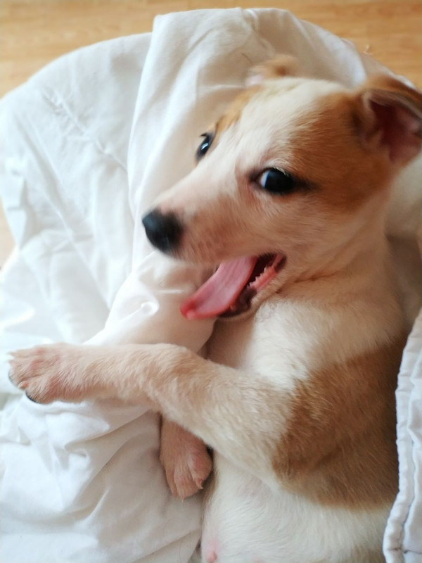 044F46F8-6199-403A-B4B1-14EBBBE50BD2