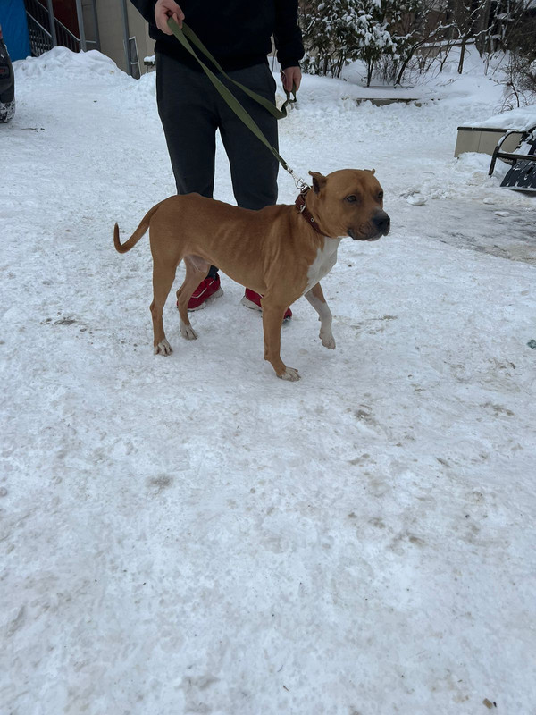 WhatsApp Image 2024-01-28 at 16.04.44 (1)