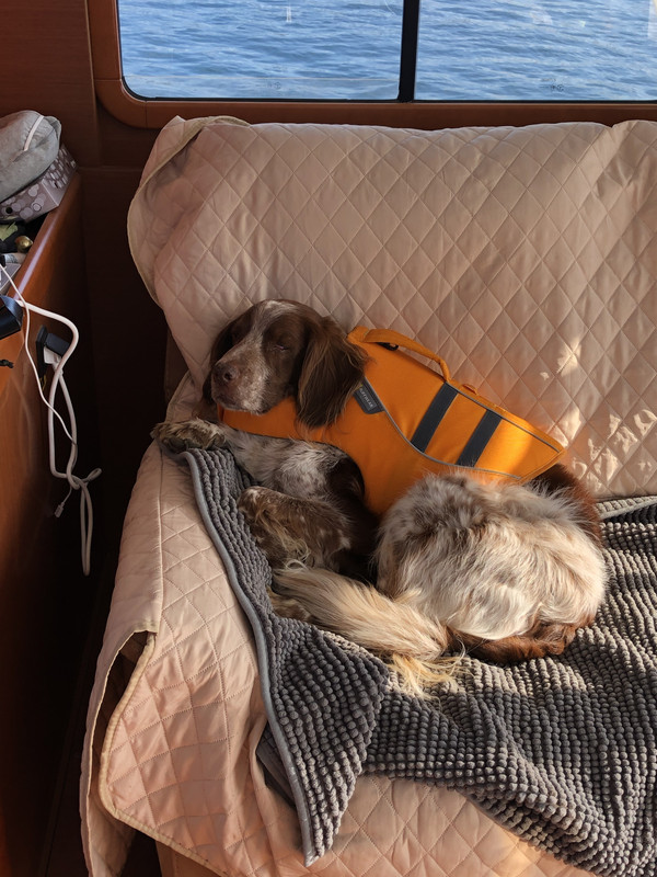 E7D7C3A1-9DBA-4F0F-A59F-0D148881E813