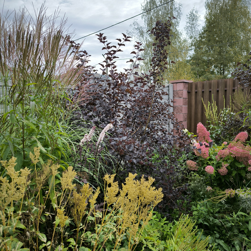 IMG_20240914_120903
