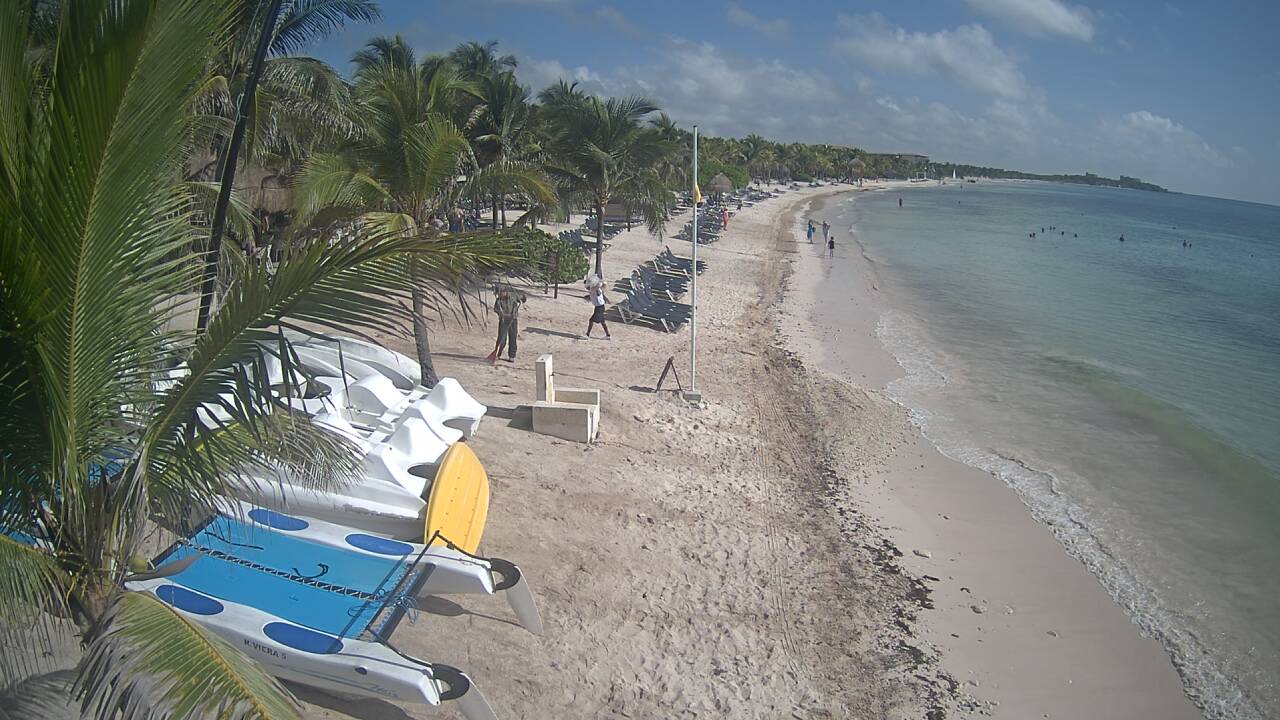 Algas en las playas de Riviera Maya (Sargazo) - Foro Riviera Maya y Caribe Mexicano