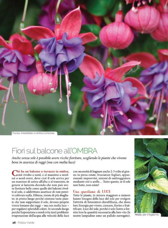 Pol Ver Giu 2022 (3)