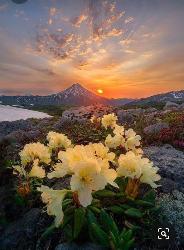 Screenshot_20231104_215000_Pinterest