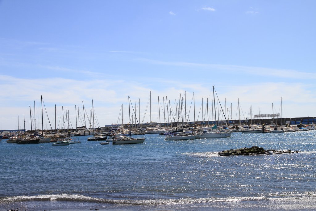 Tenerife: hay turismo más allá de El Teide - Blogs of Spain - MONKEY PARK- PLAYA DE LAS GALLETAS- ICOD DE LOS VINOS- GARACHICO (9)