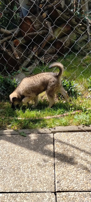 IMG-5e8d0d8907e41d32d01af4fae8bd362a-V