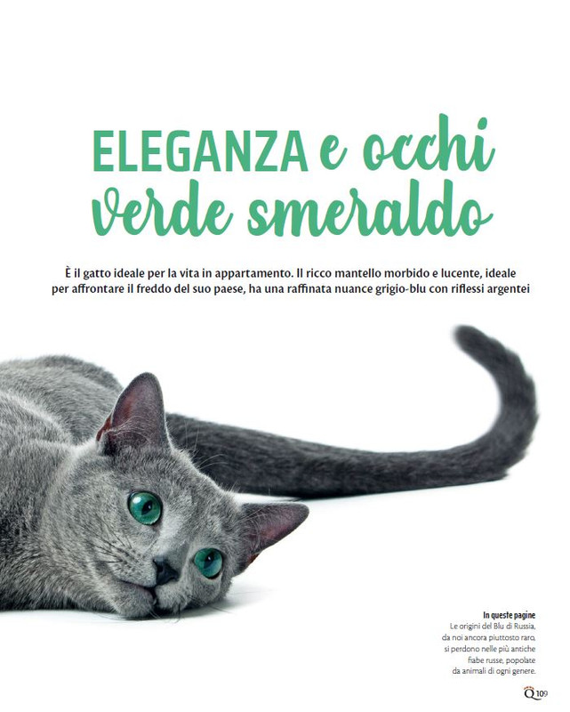 QuattroZampe Ott 2023 (8)