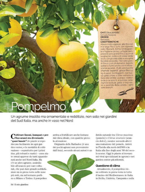 Il Mio Giar Apr-Mag 2022 (7)