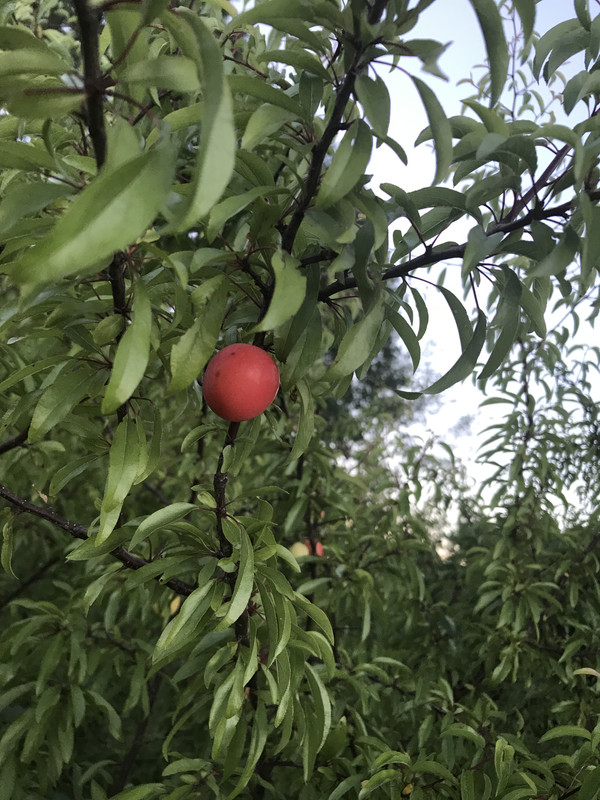 EB1DCD8D-A1E7-4087-894B-A8A41F75BC26