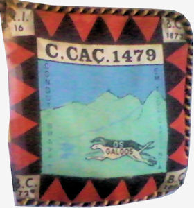 CCac1479
