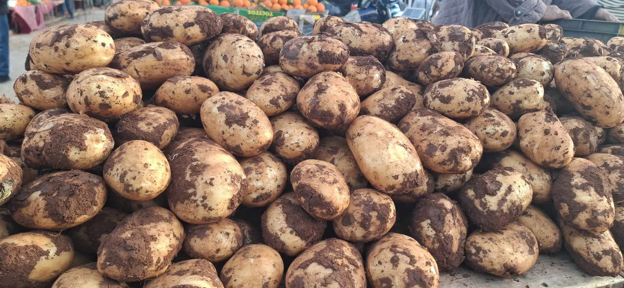 636964548-2322039064945121-4373946137335258418-n