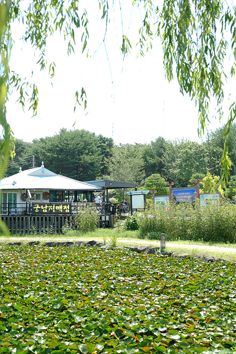 DSC02240