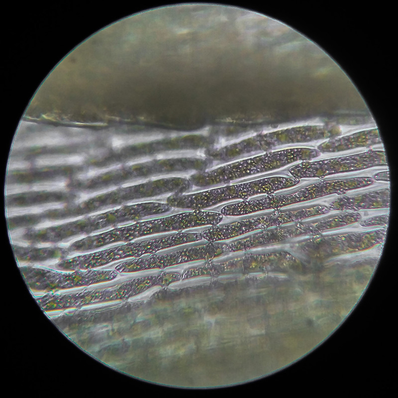 IMG 20250614 111537 HDR