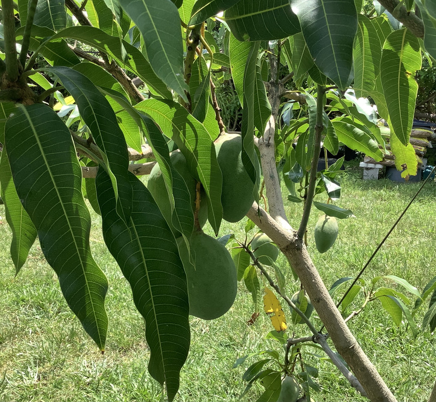 DA7E0180-9966-4A76-8B1F-232A237C6464