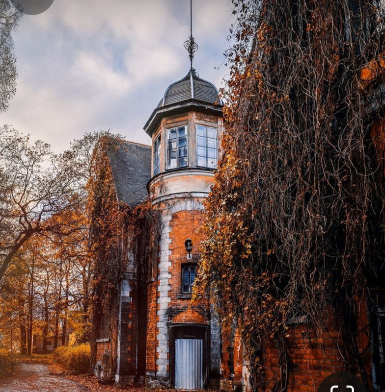 Screenshot_20231115_212939_Pinterest