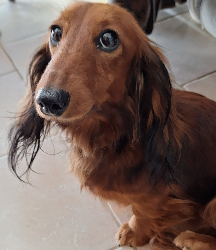 [Image: 20250409-120954.jpg]