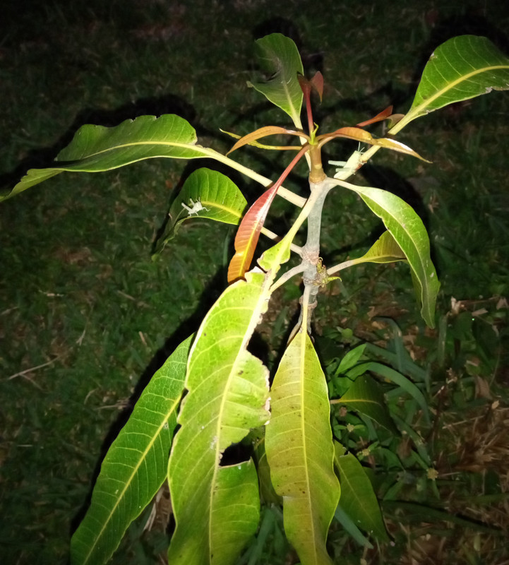 IMG_20230425_201405187~2