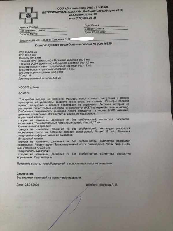 1AAA176C-9DA0-4E16-A84A-B5D03244A0A0