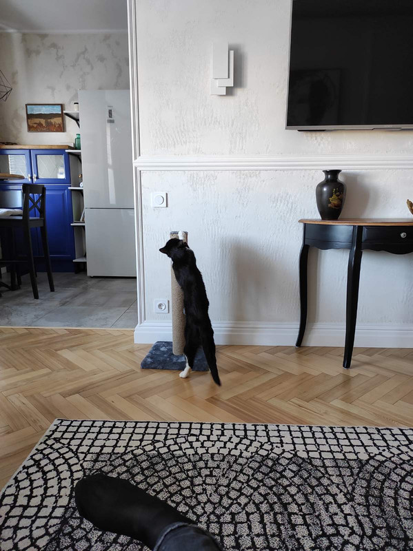 изображение_viber_2021-02-21_12-38-59