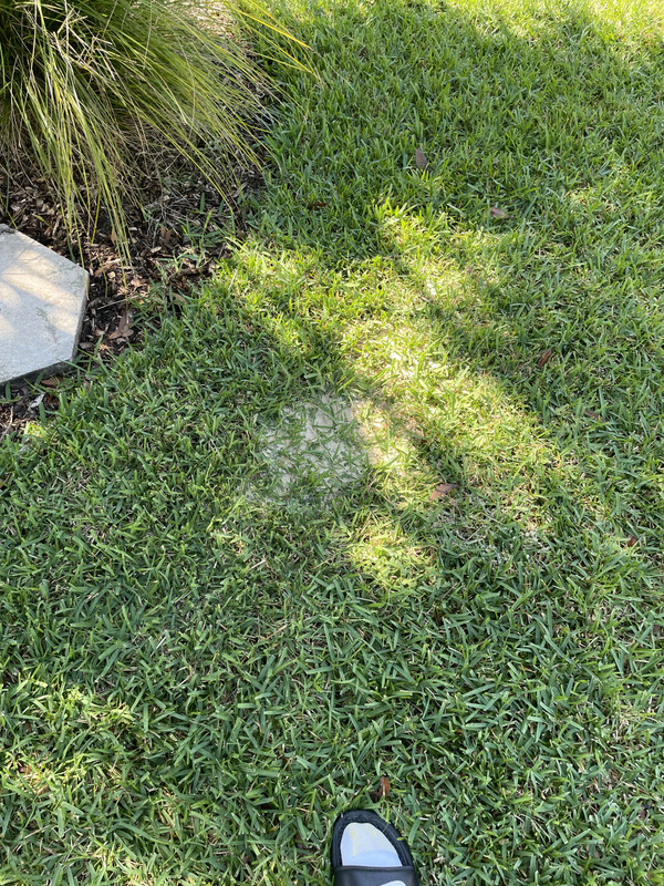 BC7A8101-044C-4839-9B10-DAE12E8192C8