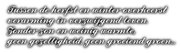 cooltext399194400708810