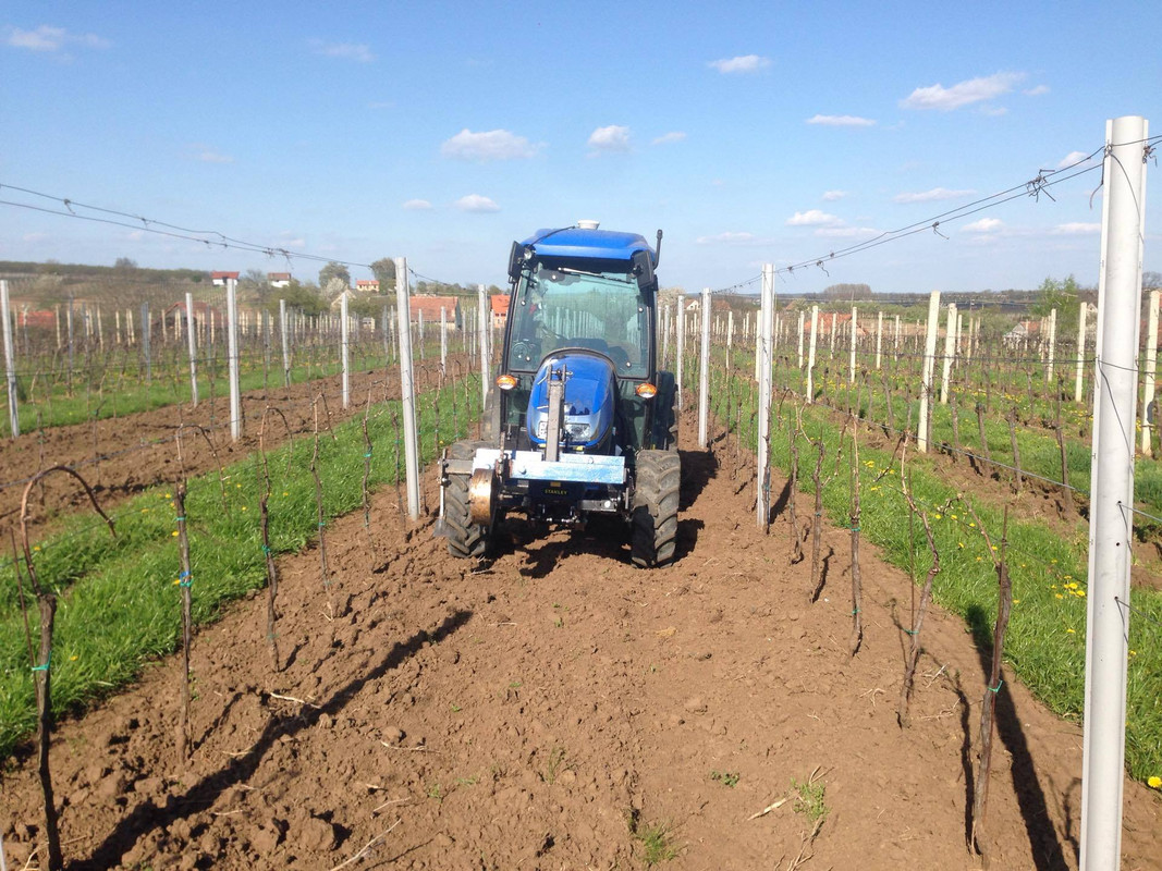 13090777_10204621000403196_1395626463_o