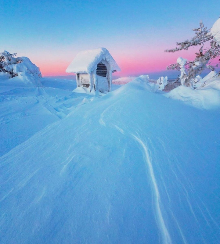 Screenshot_20231205_210531_Instagram