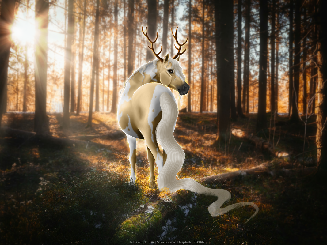 Forest-Spirit-Done.png
