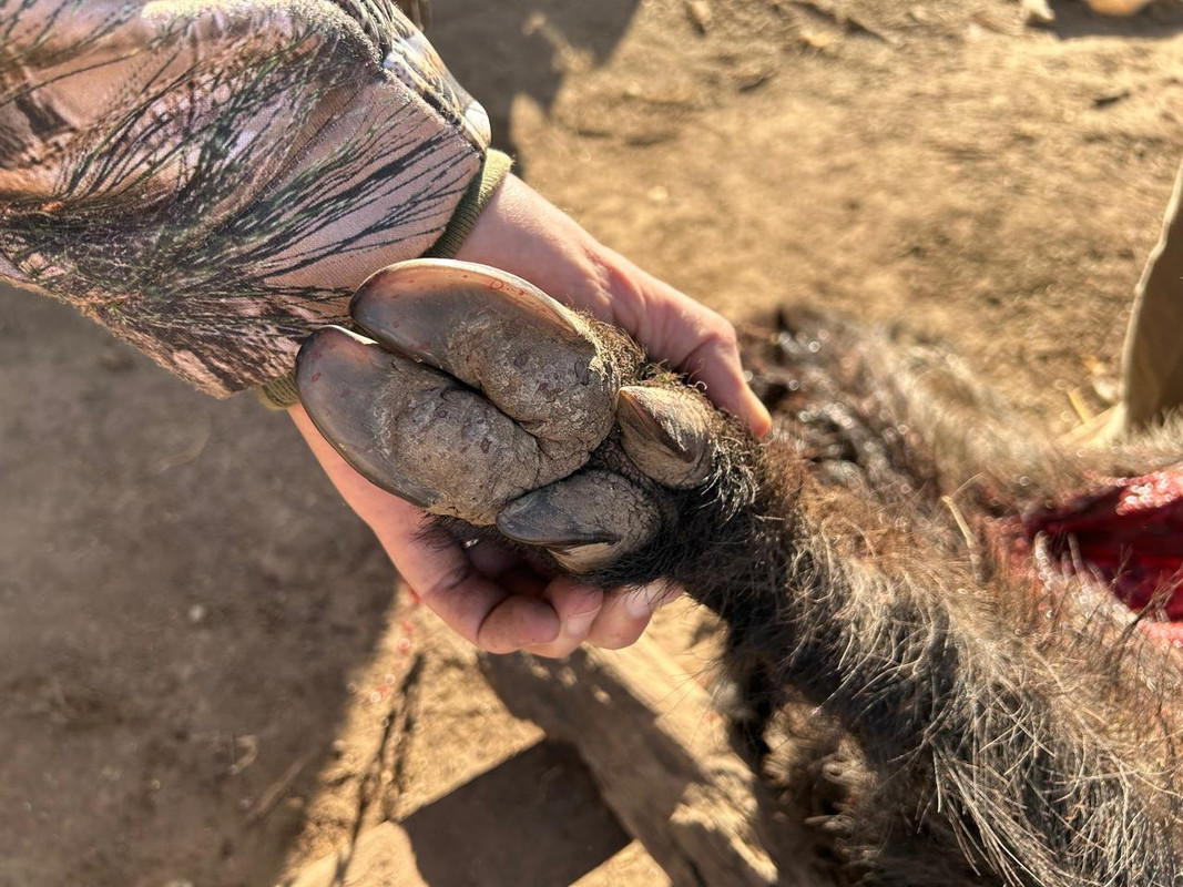 WhatsApp Image 2024-08-02 at 12.29.04 (1)