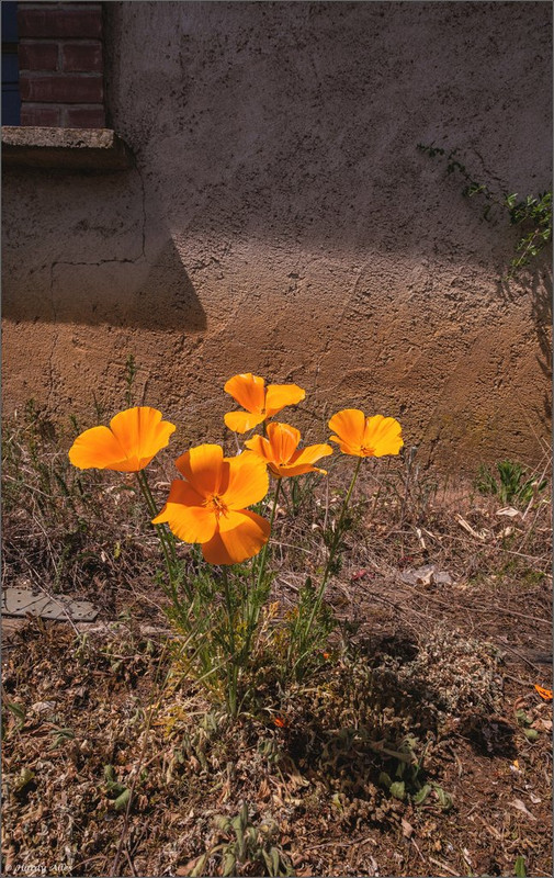 XT4D5828 2022 mit Alain Lux Aumetz LR ERWZFB