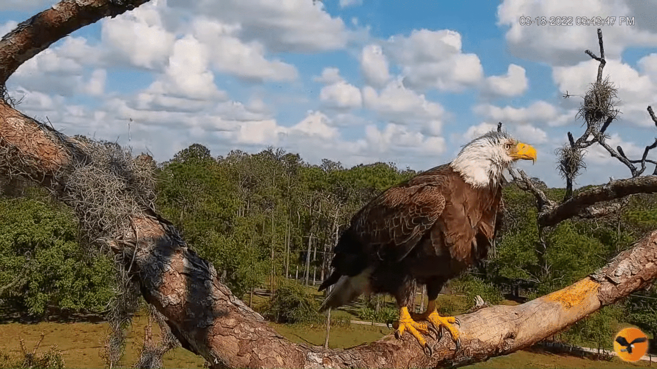 Webp.net-gifmaker (3)