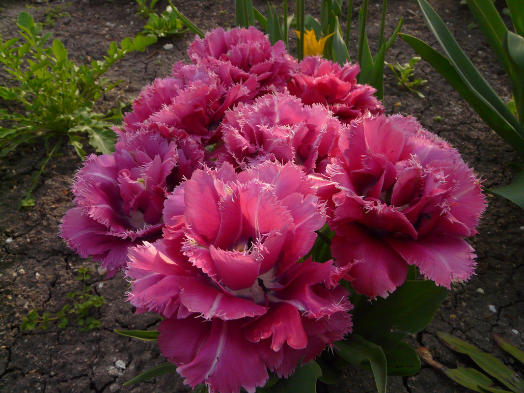 P1570844