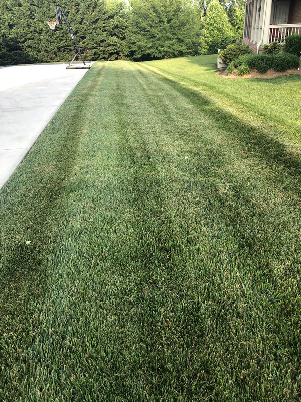 1E747896-1B5F-4BD6-BD82-430E6FDAC51D