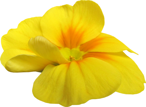 Kit_Just_Bee_In_ME (29)