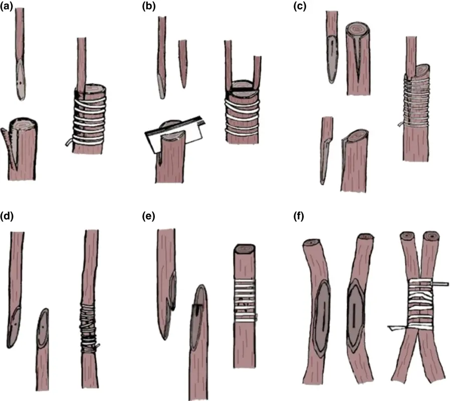 DF3DC227-E159-41C9-AF2F-3A2E735AC394