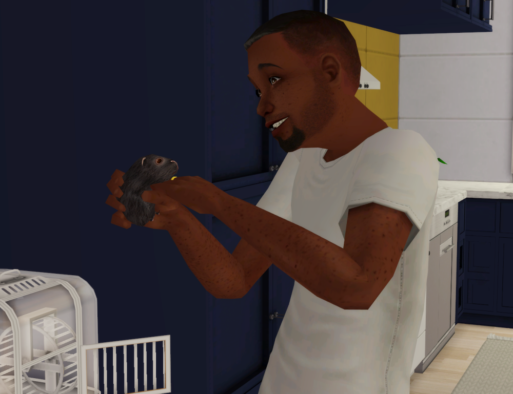 Sims2-EP9-RPC-2022-07-23-21-12-19-41