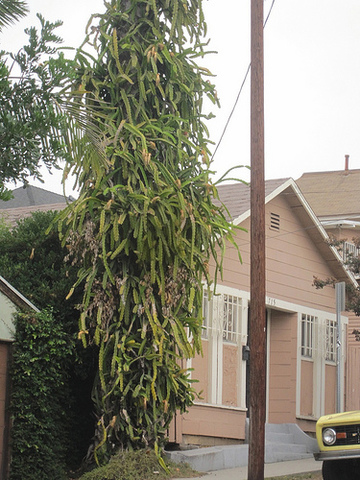 7565236684_6165716027