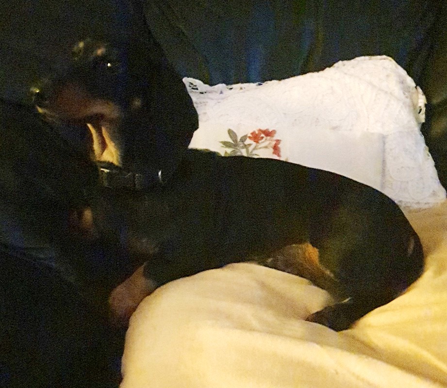 [Image: 20220712-221324.jpg]