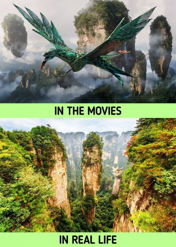 movies-9