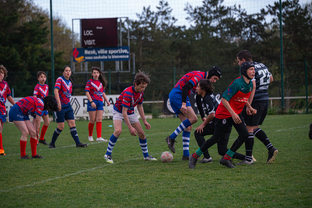 tournoi-de-latlantique-2026-adonis-griffon-271-55181408943-l