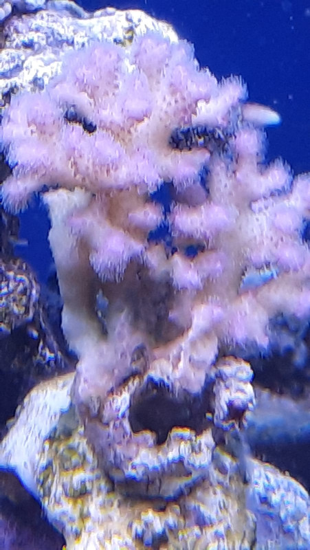 WhatsApp Image 2021-02-19 at 13.05.22 (1)