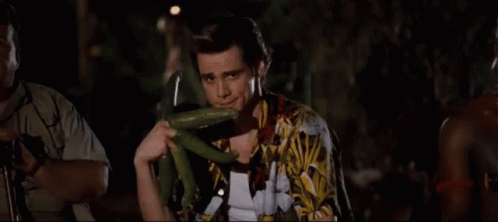 ace-ventura-eyebrows.gif