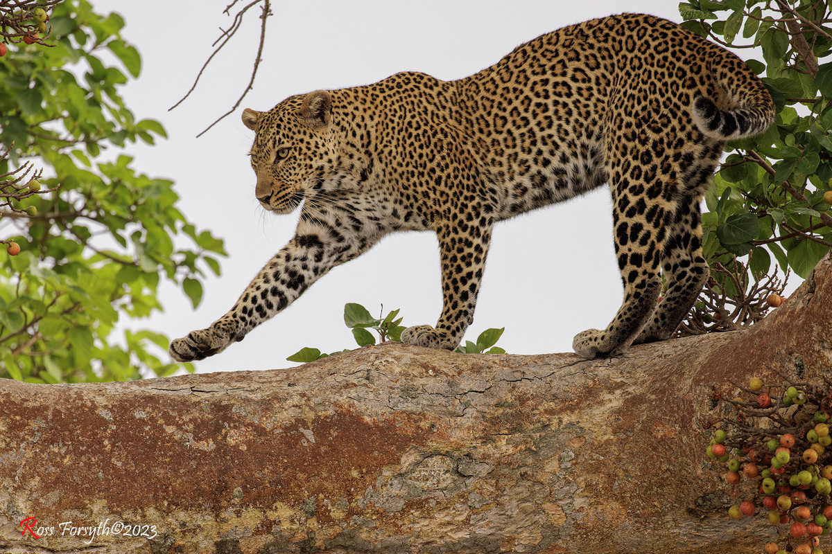 _5RF7543-CR3_DxO_DeepPRIMEXD