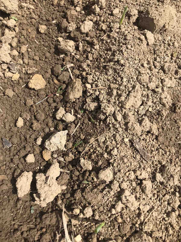 2216D284-EF5A-4172-9BC5-6BF60CACBC0A