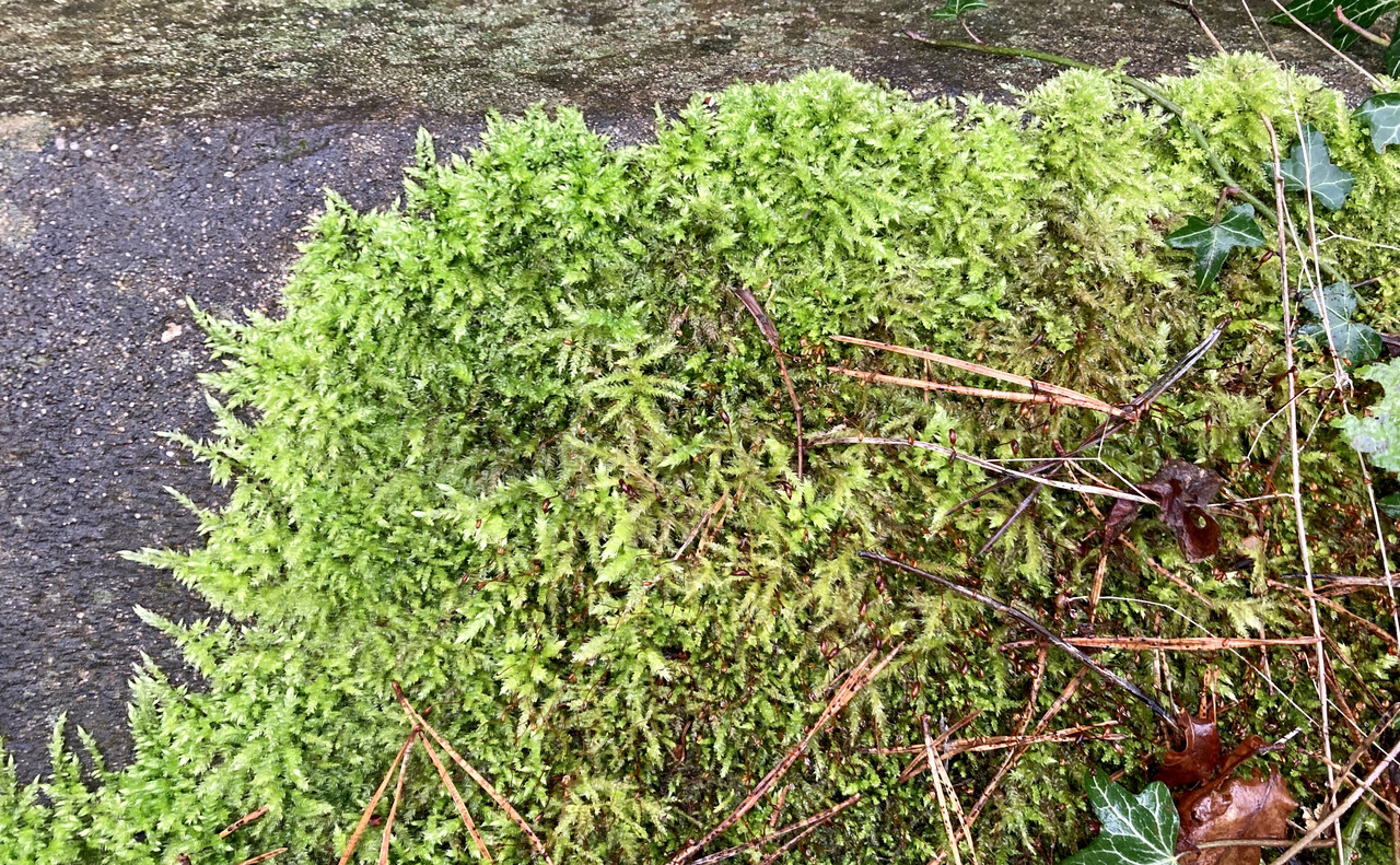 DE361CF8-F377-43D8-9262-6833B0824EAF